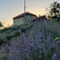Cascina Cornelli – Ristorante E Camere