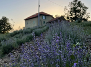 Cascina Cornelli – Ristorante E Camere