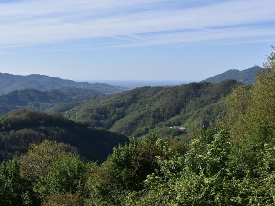 La Costa - foto 2