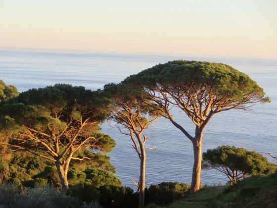 Terre Rosse Portofino - foto 4