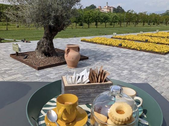 Tenuta Del Fatio - foto 5