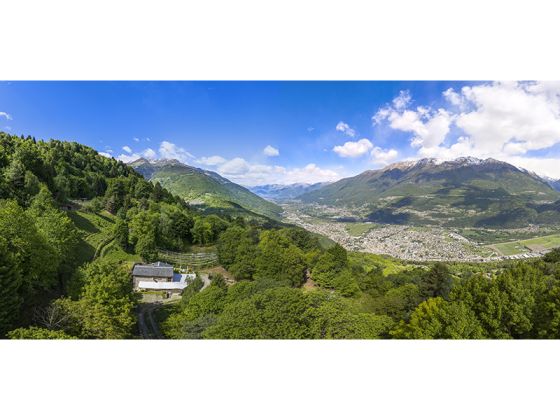 Fattoria Didattica Sempreverde - foto 8