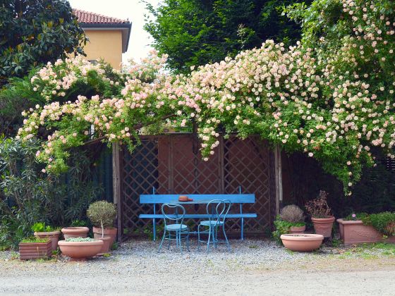 Borgo San Francesco - foto 9