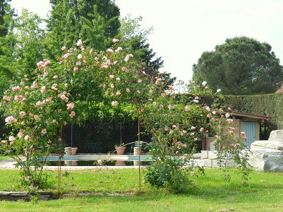 Borgo San Francesco - foto 7