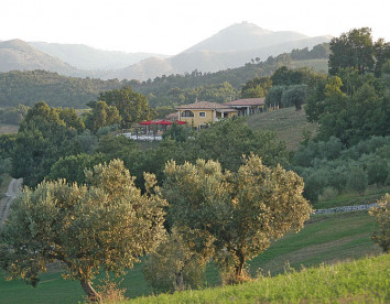 la cascina degli ulivi