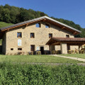 Piane
