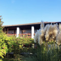 AgriSpace LaTordela - Agriturismo La Tordela