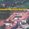 Fior Di Pesco