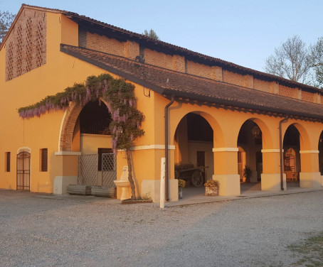 Fenilnovo