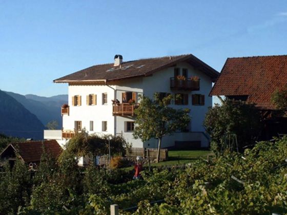 Tollhof - foto 3