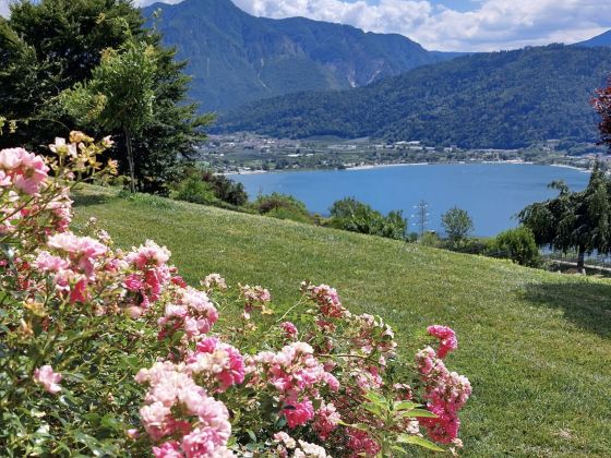 AGRITUR SEDICI - Bed And Breakfast - foto 2