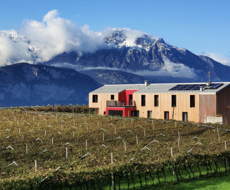Agriturismo 8 Grappoli Agritur - Trento