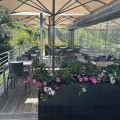 Margone Trento