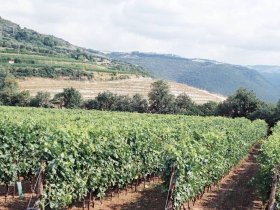 Delo - Verona - foto 3