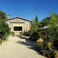Le Fontane