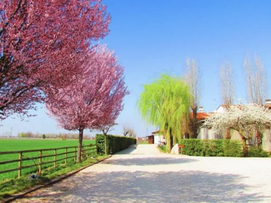 Le Cipressine - foto 3
