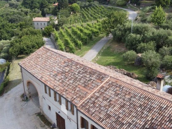 Il Castagneto - Appartamenti - foto 2