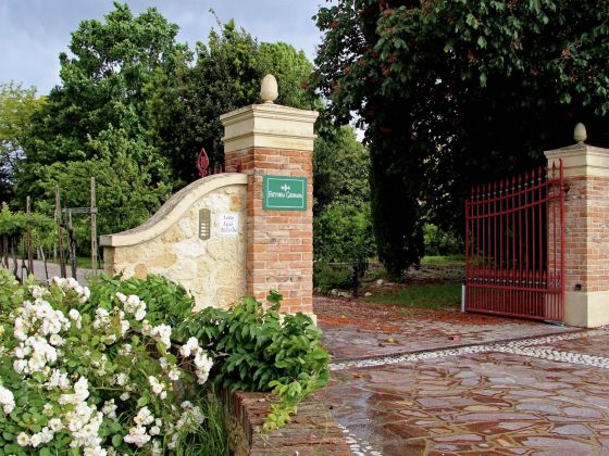Fattoria Grimana - foto 3