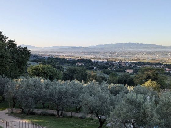 Villa Degli Ulivi - foto 4