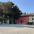 Boschi Celati