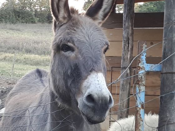 Ca' Del Buco - foto 3
