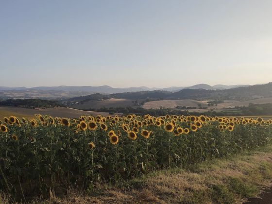 Forestale Luti - Treia - Le Marche - foto 5