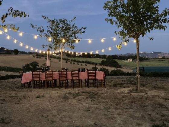 La Fattoria Di Garbatì - Agriturismo E Fattoria Didattica - foto 2