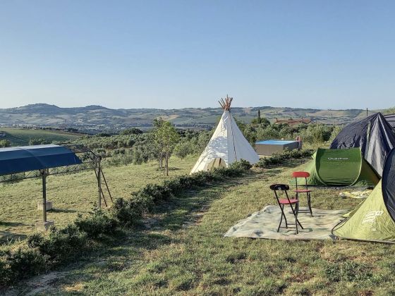 La Fattoria Di Garbatì - Agriturismo E Fattoria Didattica - foto 3
