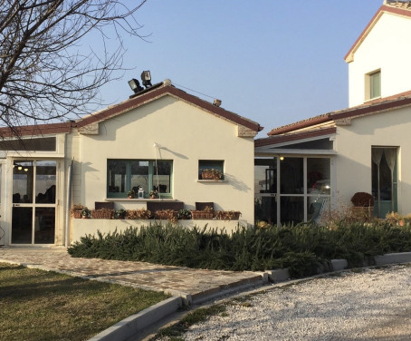 La Nocicchia