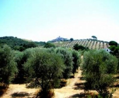 Casa-rural Antica Pinciana - Capalbio