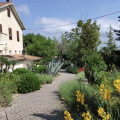Rossoconero Di Lucesole Graziella