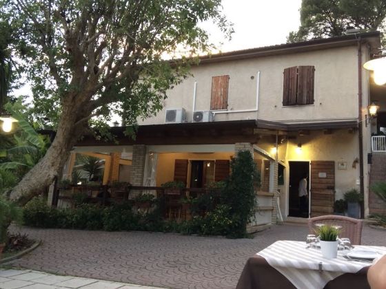 Rossoconero Di Lucesole Graziella - foto 5
