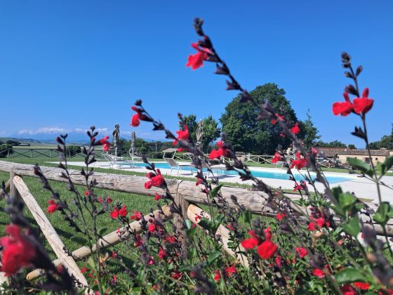 Pieve San Biagio - foto 23