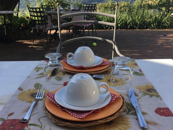 Azienda Agricola E Caravan Della Mezzaluna - foto 4