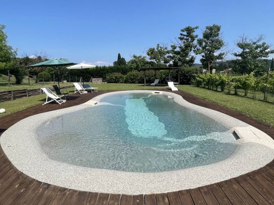 - Azienda Agricola Casanova Nardini - foto 3