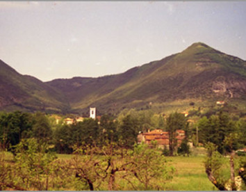 corte della rusticuccia