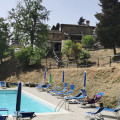 Fattoria Di Cintoia