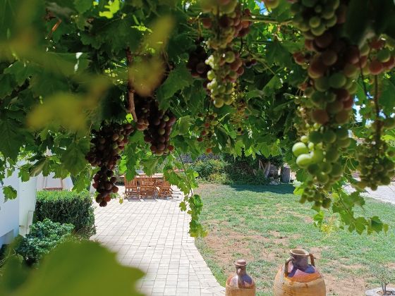 Masseria Signora Porzia - foto 11