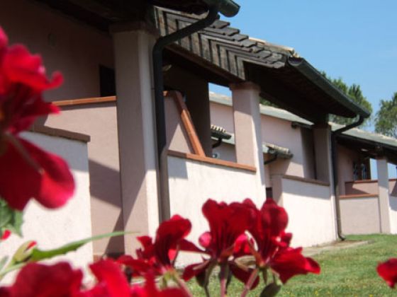 Il Girasole - foto 6