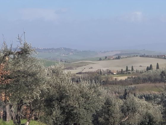 Podere Casciano - foto 5