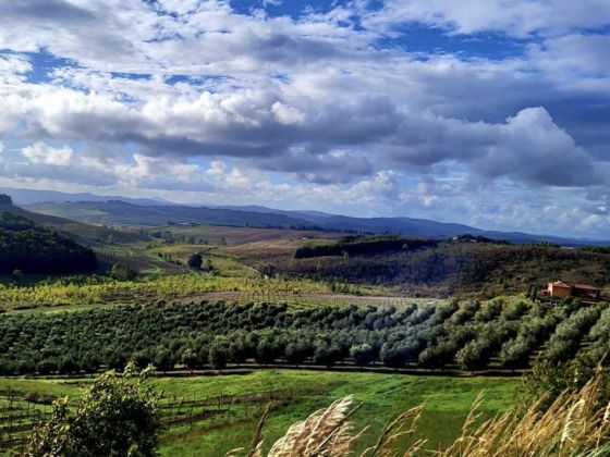Podere Cunina - foto 4