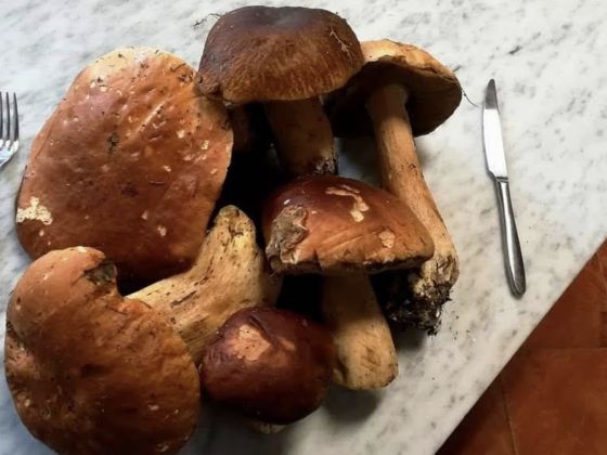 餐厅照片2 Tra I Filari