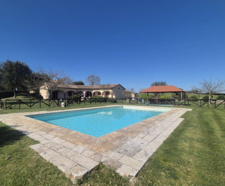 Ferienbauernhof La Collina Degli Olivi - Grosseto