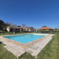 La Collina Degli Olivi