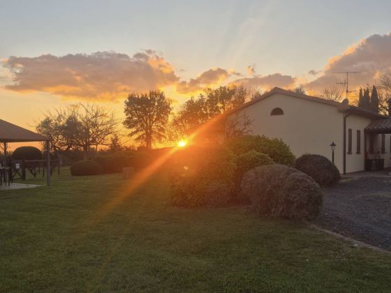 La Collina Degli Olivi - foto 3