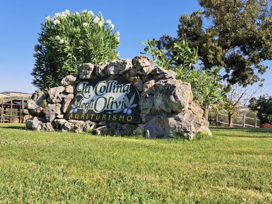 La Collina Degli Olivi - foto 5