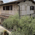Colle Abramo Delle Vigne