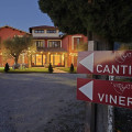 Violati