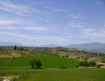 fattoria  colle luca