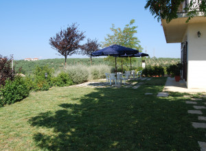 image7 Fattoria  Colle Luca